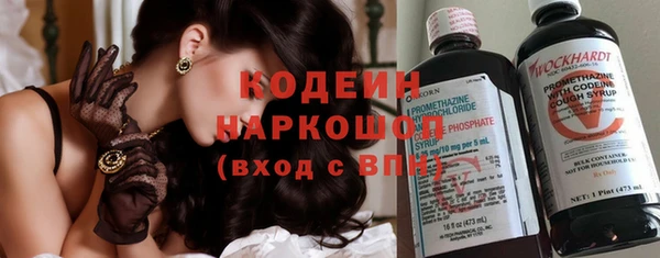 молекула духа Покров
