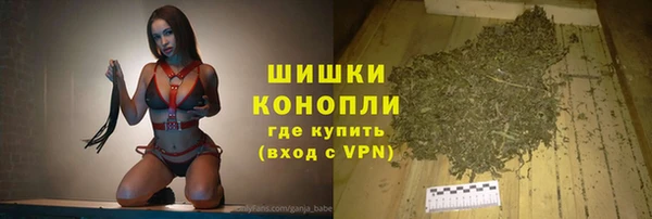 PSILOCYBIN Покачи