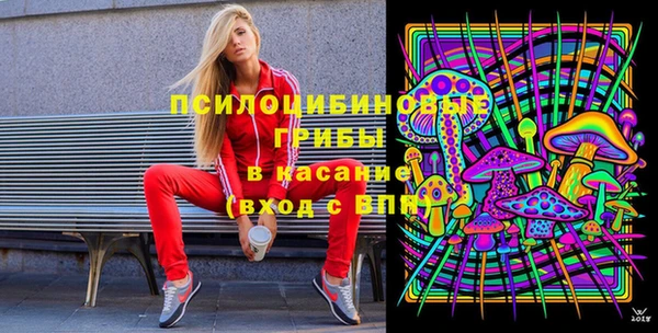 молекула духа Покров