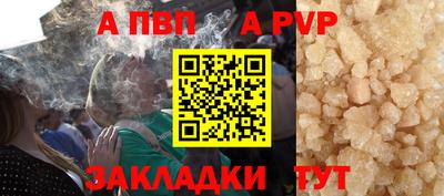 индика Донской