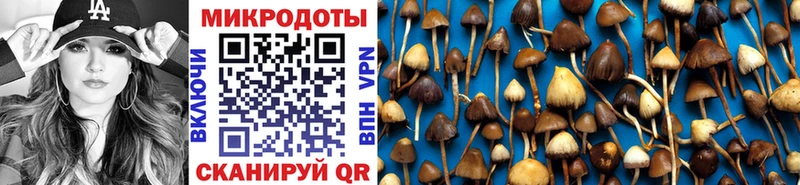darknet формула  где купить наркоту  Рузаевка  Галлюциногенные грибы ЛСД 