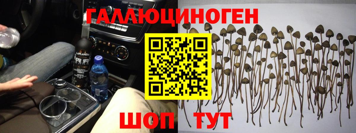 даркнет сайт  Вход с VPN  Рузаевка  Галлюциногенные грибы Cubensis  Псилоцибиновые грибы Cubensis 
